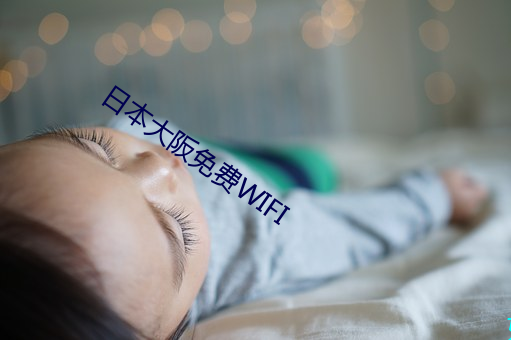 日本(běn)大阪免费WIFI