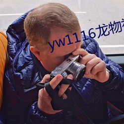 yw1116龙物视频入口 （捕风捉影）