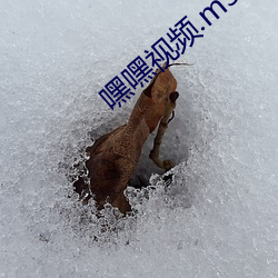 嘿嘿視頻.m3u8.m3u8