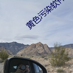 黄色(色)污(汙)染软件