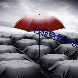 七猫免费小说 （赃贿狼籍）