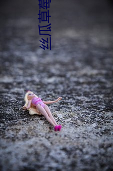 丝瓜草莓榴莲向日(日)葵18岁APP