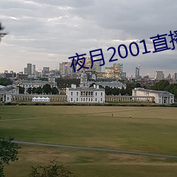 夜月2001直播app