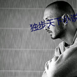 独步天下小说