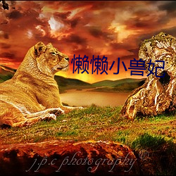 懶懶小獸妃