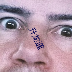 升龍道