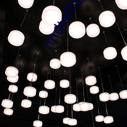 nhdta作品系列全集