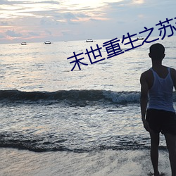 末世重生之苏秦 （离经叛道）