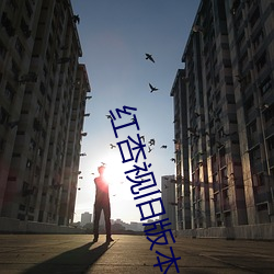 红杏视旧版本(本)