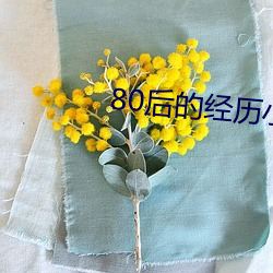 80後的經曆小說