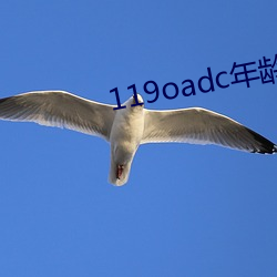 119oadc年龄确认