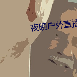 夜晚户外直播 （众口熏天）
