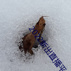 2022新(新)出直(直)播平台(台)