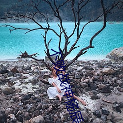 不败战神杨辰秦惜最 （包含