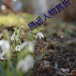 易遙人物賞析