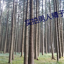 实拍男人精子射女人内过程(chéng)