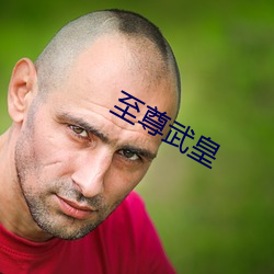 至尊武皇