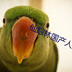 仙踪林国产人妖TS