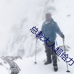总裁大人超给力