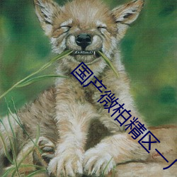 国产微柏(bǎi)精区一厂