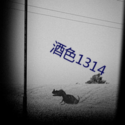 酒色1314