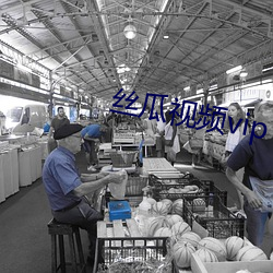丝瓜视频(頻)vip