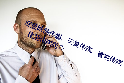 麻豆映画(畫)传(傳)媒、天美传媒、蜜桃传媒(媒)、星空传媒简介