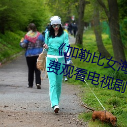 《加勒比女海盗2》更新至459集免(miǎn)费观看(kàn)电视剧(jù)