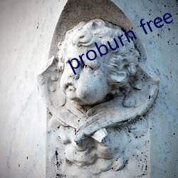 proburn free