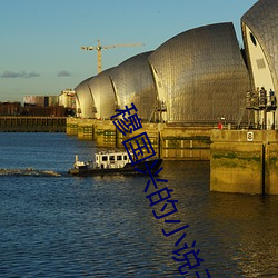 穆國興的小說天眼人生