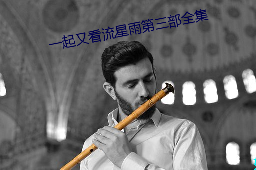 一起又看流星雨第三部全集