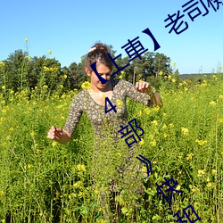 【上(上)車】老司(司)機盤點《父親(親)節必(必)看謎片(片)14部》快(快)和爸爸一起看