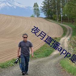 夜月直播(播)app是真的吗