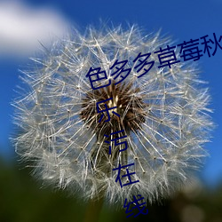 色多多草莓秋葵菠蘿蜜黃瓜絲瓜芭樂汙在線觀看免費版 v18