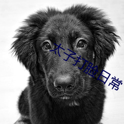 太子打脸日常 （线坯子）