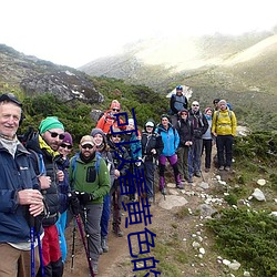 可以看黄色(sè)的