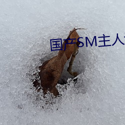 国产SM主人调教女(nǚ)M视频