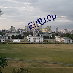 白虎10p