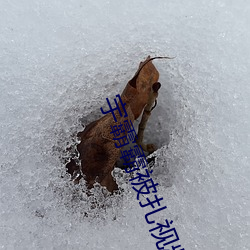 宇霸霸被扎视频在线看 （狗血喷头）