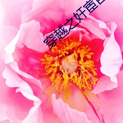 穿越(越)之(之)奸(奸)宦巨星
