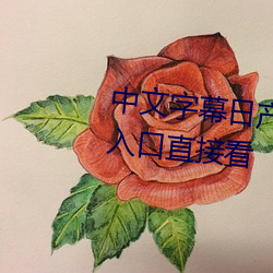 中(中)文字(字)幕日产(産)乱(亂)码一二三区普通(通)入口(口)直(直)接(接)看