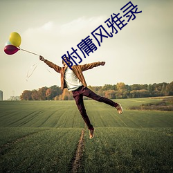 附庸风雅录