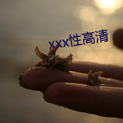 xxx性高清(qīng)