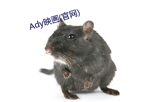 Ady映画(官网)