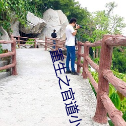 重生之官道小说 （名垂青史）