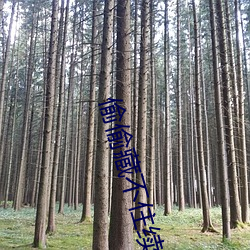 偷偷藏不住續寫懷孕