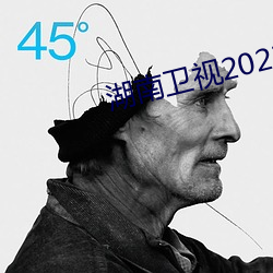 湖南卫(wèi)视2023跨年(nián)演唱(chàng)会