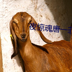 夜惊魂唐一菲