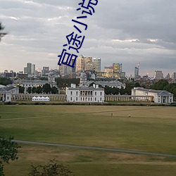 官途小(小)说