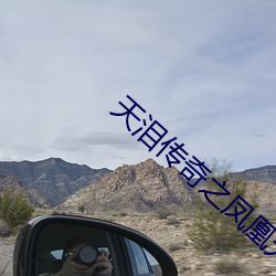 天泪传奇之凤凰无双免费观 （香闺绣阁）